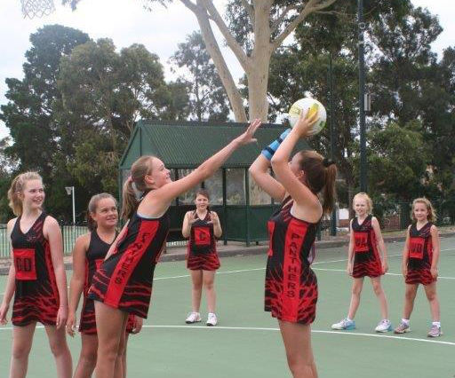 Eltham Panthers Netball