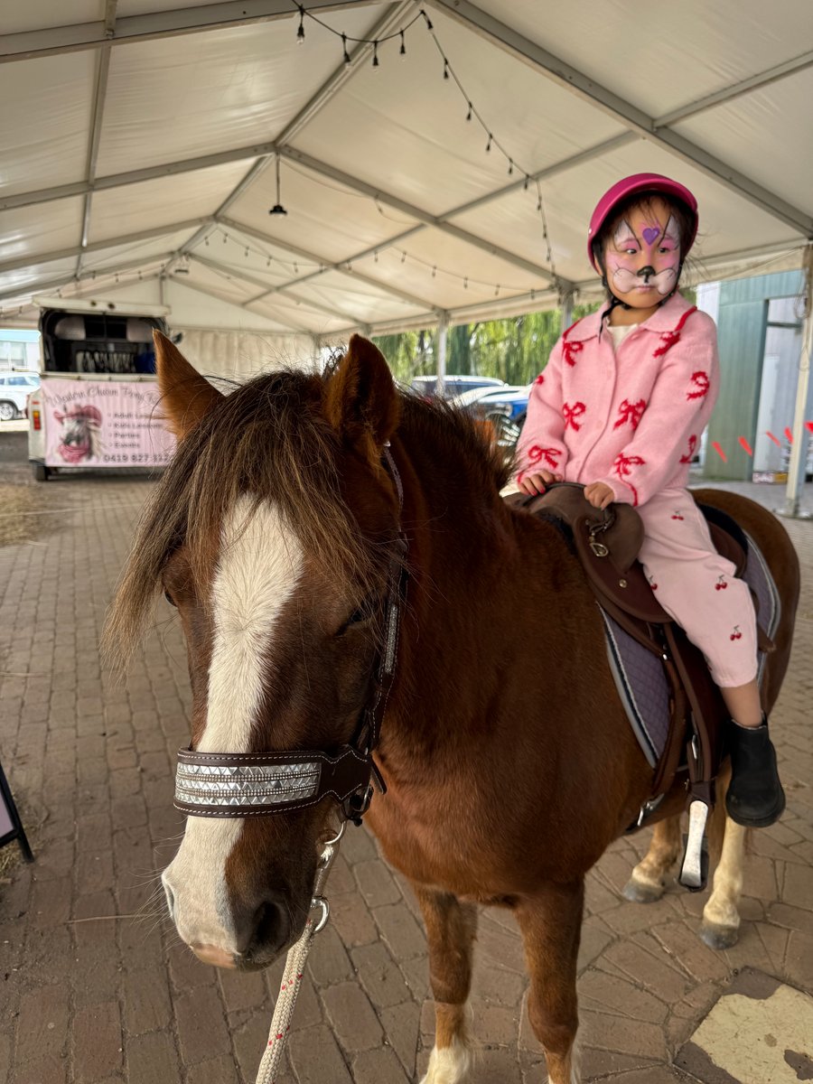 Pony-Ride Pony Ride Eltham Festival 2026
